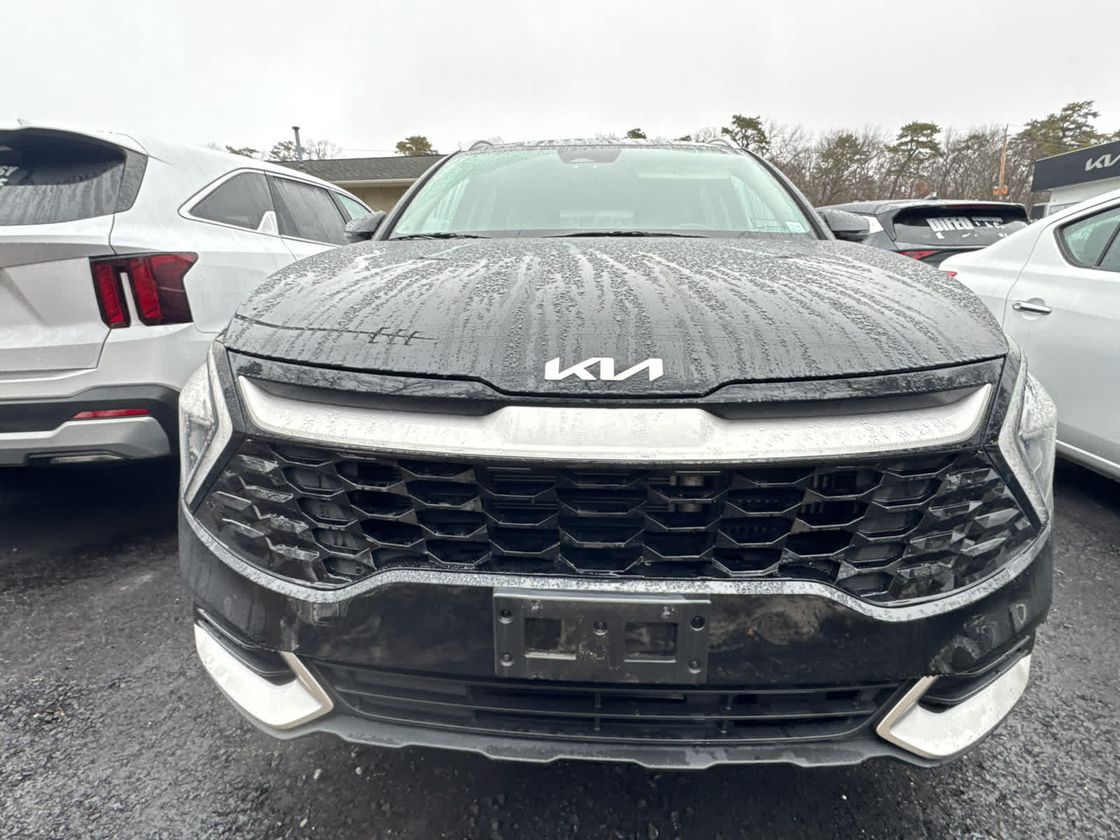 2023 Kia Sportage Hybrid EX
